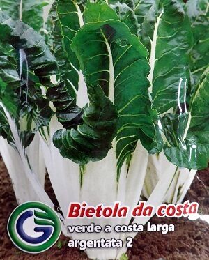 Lapu bietes (mangolds) Bietola Verde a Costa Larga Argentata 2 14 g Galassi Sementi